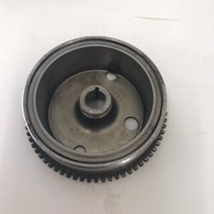 rotor d’allumage 250/300 exc – Image 2