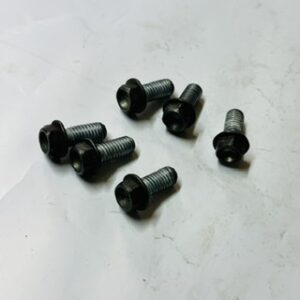 vis disque de frein avant 125 gas gas