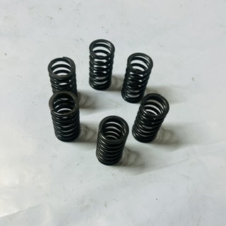 ressorts d’embrayage 250 wr 1996